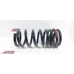 copy of TELECAMERA SPIA...