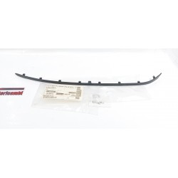 copy of TELECAMERA SPIA...