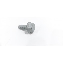 BULLONE ESAGONALE 8X20...