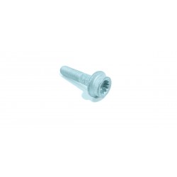 BULLONE TESTA BRUGOLA M8X35...