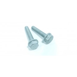 2X VITE BULLONE M10X1,5X55...