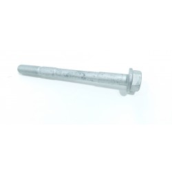 BULLONE ESAGONALE 10x110x24...