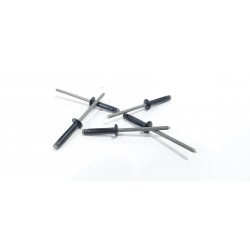 copy of TELECAMERA SPIA...