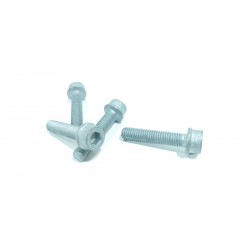 copy of TELECAMERA SPIA...