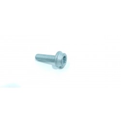 copy of TELECAMERA SPIA...