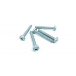 copy of TELECAMERA SPIA...