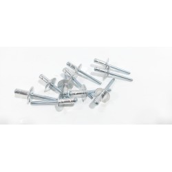 copy of TELECAMERA SPIA...