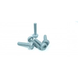 copy of TELECAMERA SPIA...