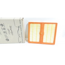 copy of TELECAMERA SPIA...