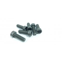 copy of TELECAMERA SPIA...