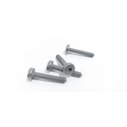 copy of TELECAMERA SPIA...