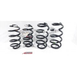 copy of TELECAMERA SPIA...