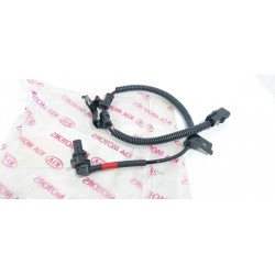 copy of TELECAMERA SPIA...