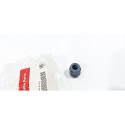 copy of TELECAMERA SPIA...