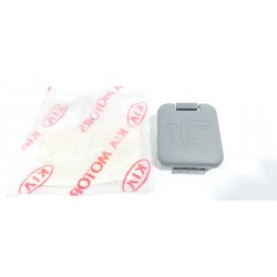 copy of TELECAMERA SPIA...