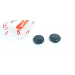 copy of TELECAMERA SPIA...