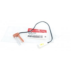 copy of TELECAMERA SPIA...