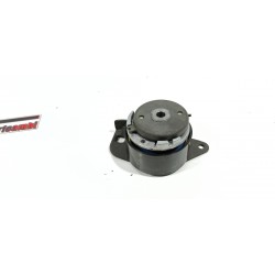 PULEGGIA TENDICINGHIA...