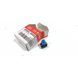 PORTALAMPADINA E LAMPADINA...