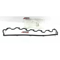 GUARNIZIONE COPRITESTATA...