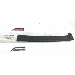 MODANATURA PORTIERA...