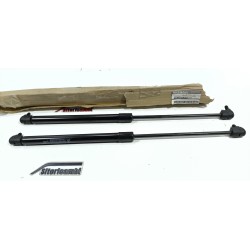 2X PISTONCINI A GAS...