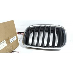 GRIGLIA RADIATORE ANTERIORE...