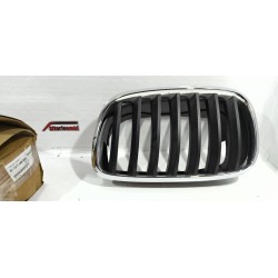 GRIGLIA RADIATORE ANTERIORE...