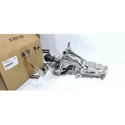 RADIATORE CALORE EGR...