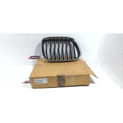 GRIGLIA CALANDRA RADIATORE...