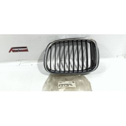 GRIGLIA CALANDRA RADIATORE...