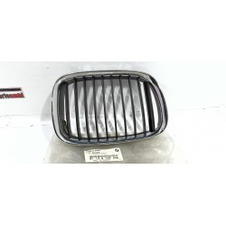 GRIGLIA CALANDRA RADIATORE...