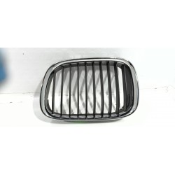 GRIGLIA SINISTRA RADIATORE...