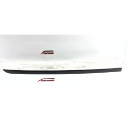 GUARNIZIONE MODANATURA...