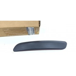 PROTEZIONE MODANATURA SX...