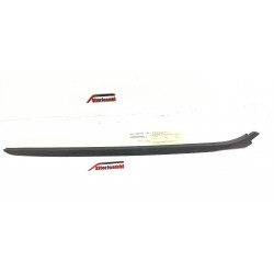 GUARNIZIONE MODANATURA...