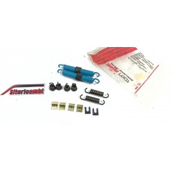 KIT MOLLE GANASCE FRENO...