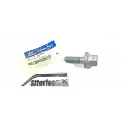 BULLONE ALBERO MOTORE...