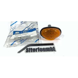 FRECCIA INDICATORE LATERALE...