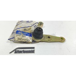 TESTINA INFERIORE...