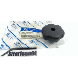 MANOPOLA REGOLAZIONE...