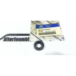 PARAOLIO CAMBIO MARCE...