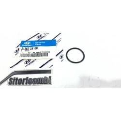 GUARNIZIONE ORING CARTER...