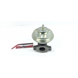 GRUPPO VALVOLA EGR...