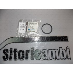 GUARNIZIONE ANELLO DI...