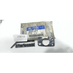 GUARNIZIONE VALVOLA EGR...