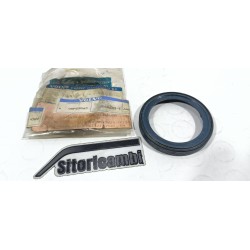 PARAOLIO GUORNAZIONE...