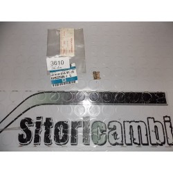 GRAFFA ROSETTA DI...