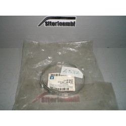 FASCETTA 96MM ORIGINALE...