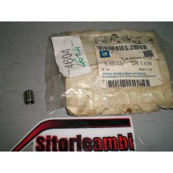 MANICOTTO,POMPA OLIO A...